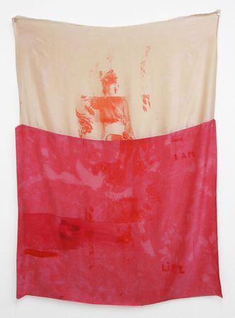 Augusta Atla, I AM LIFE, 2015, Silkscreen print, acrylic, ink on silk fabric, 100x120cm 