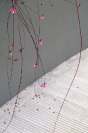 Alexis Vasilikos, Untitled (Pink Flowers), 2011, Inkjet print on fine art paper mounted on forex, 30x45cm