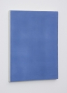 Gabriel Braun, Untitled, 2013, Lacquer on wood, 45x35cm